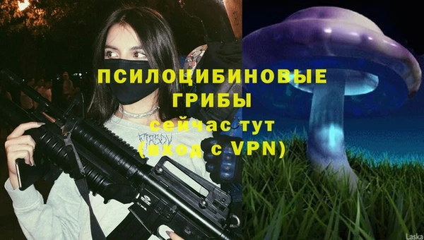 ПСИЛОЦИБИНОВЫЕ ГРИБЫ Абинск