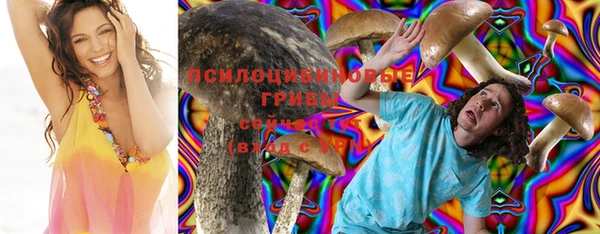 бошки Абаза