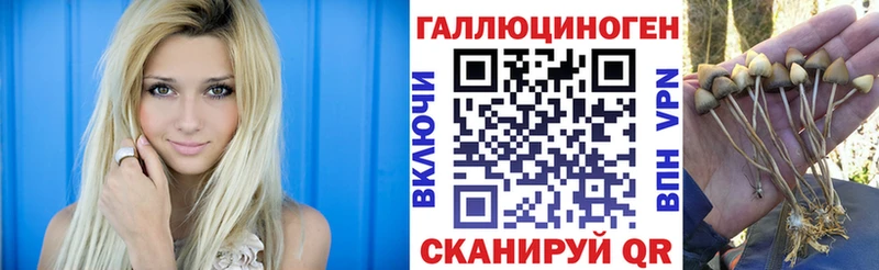 площадка клад  МЕГА ONION  Кисловодск  Галлюциногенные грибы MAGIC MUSHROOMS 