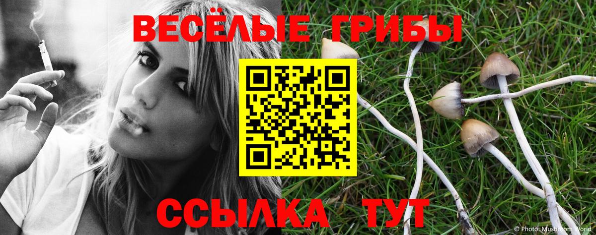 Псилоцибиновые грибы мицелий Кисловодск