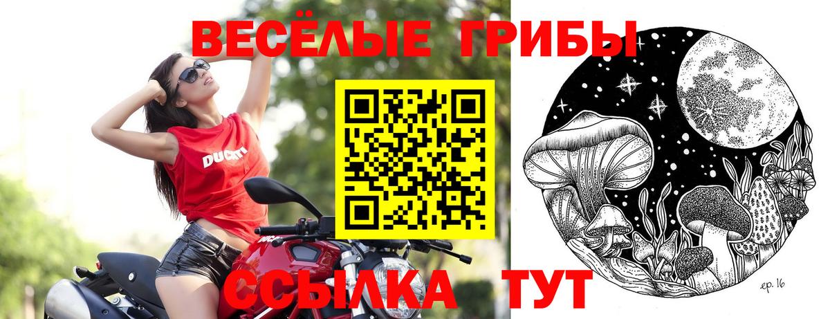 Псилоцибиновые грибы прущие грибы  Галлюциногенные грибы мухоморы  Вход с VPN  Кисловодск 